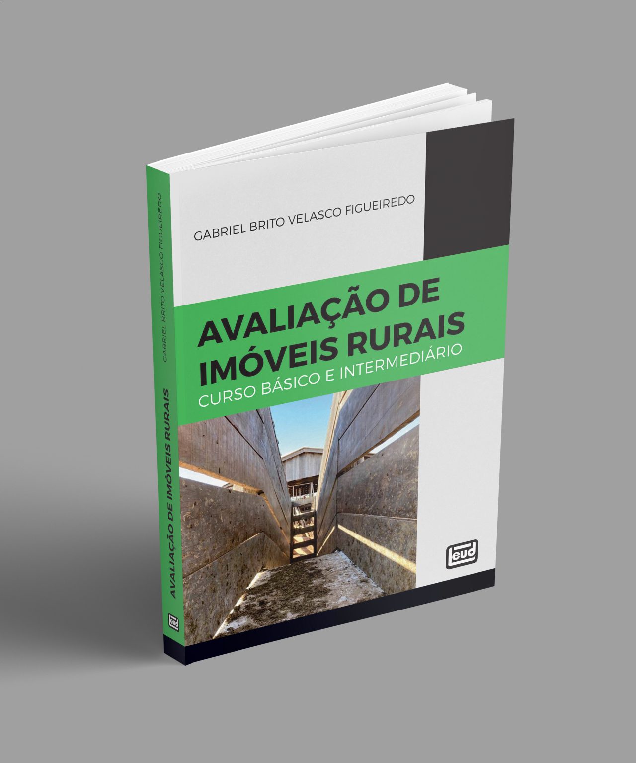 AVALIAÇÃO DE IMÓVEIS RURAIS - Curso Básico E Intermediário - LEUD EDITORA